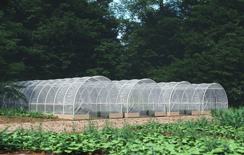 Agricultural Management and Technology - Dual Studies in Ravensburg: Deadlines