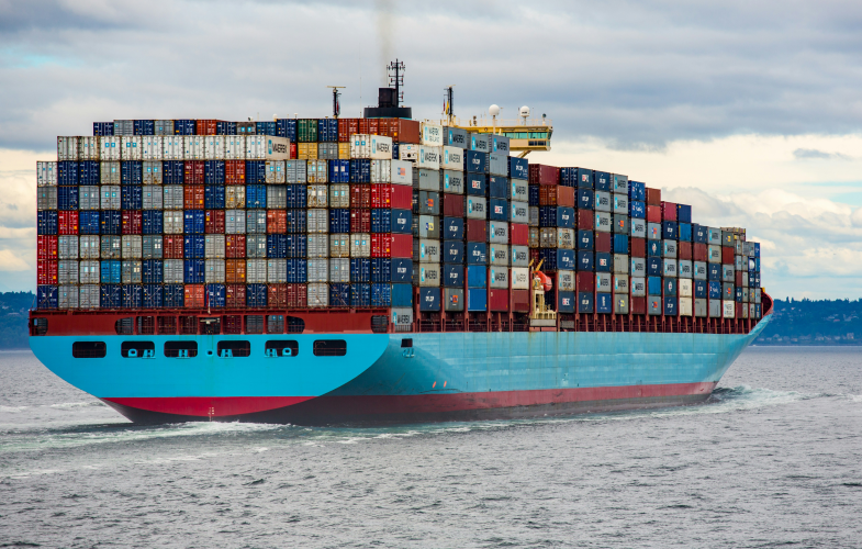 Global Trade Management study programs