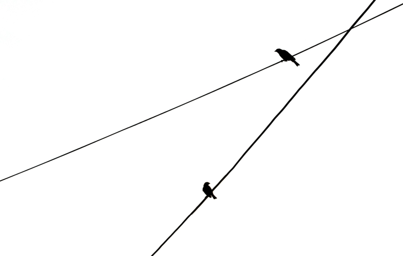 Applied Physics study programs