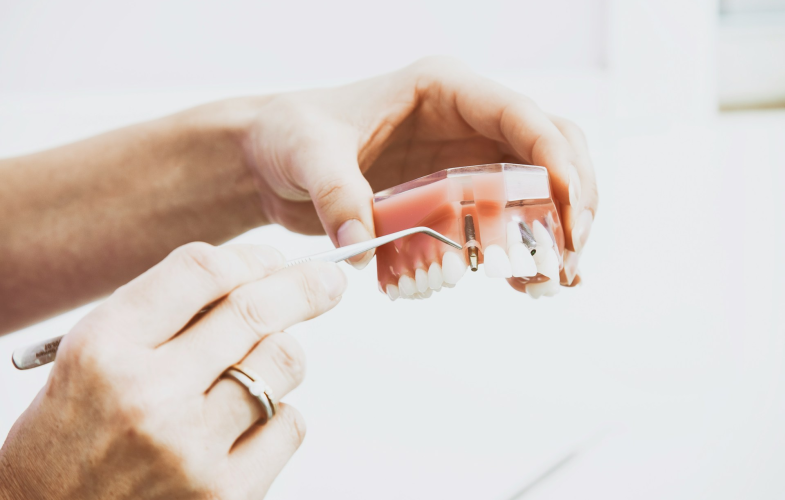 Orthodontics study programs