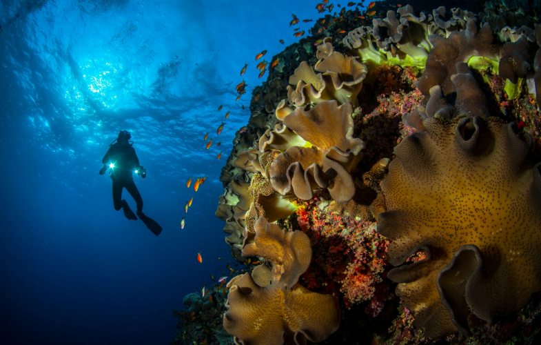 Marine Geosciences study programs
