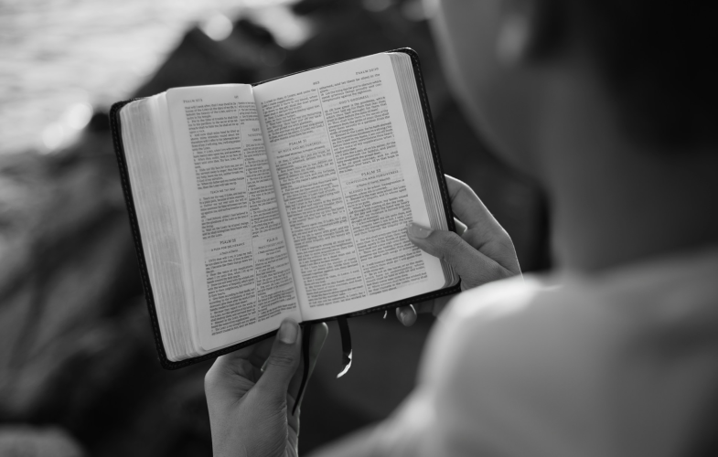 Hochschule für Jüdische Studien Heidelberg: Jewish Social Work