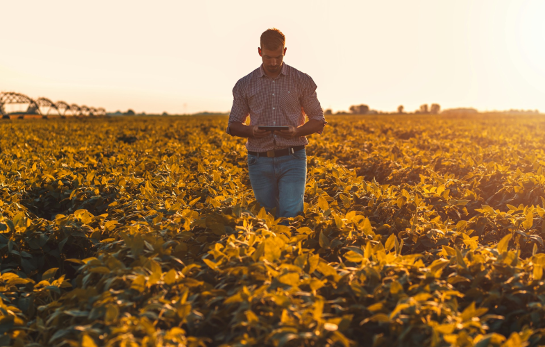 Agroecology Top Programs