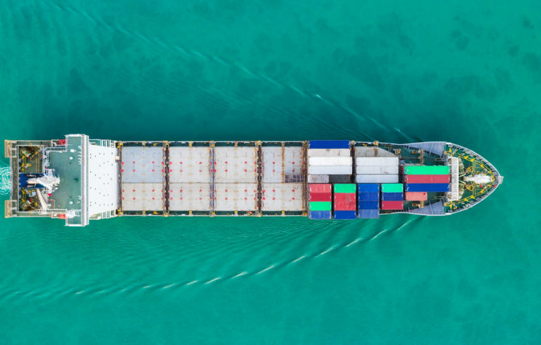 International Trade study programs