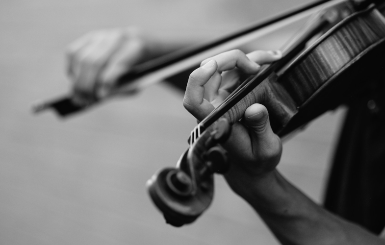 Violin study programs