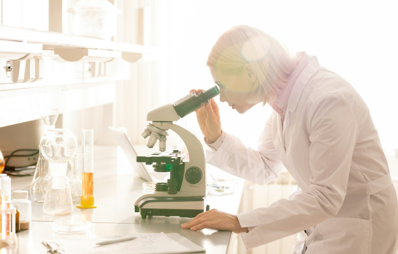 Plant Biology in Göttingen: Deadlines