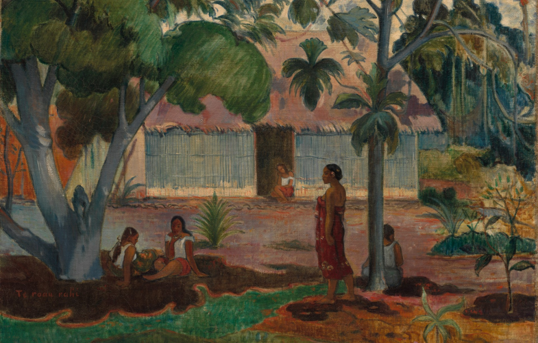 Postcolonial Studies study programs