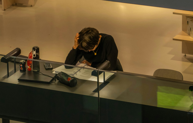HafenCity University Hamburg Digitalization: Deadlines