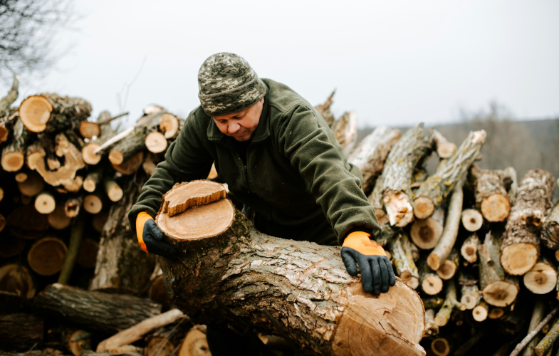 University of Applied Forest Sciences Rottenburg (HFR) Hydraulic Engineering: Deadlines