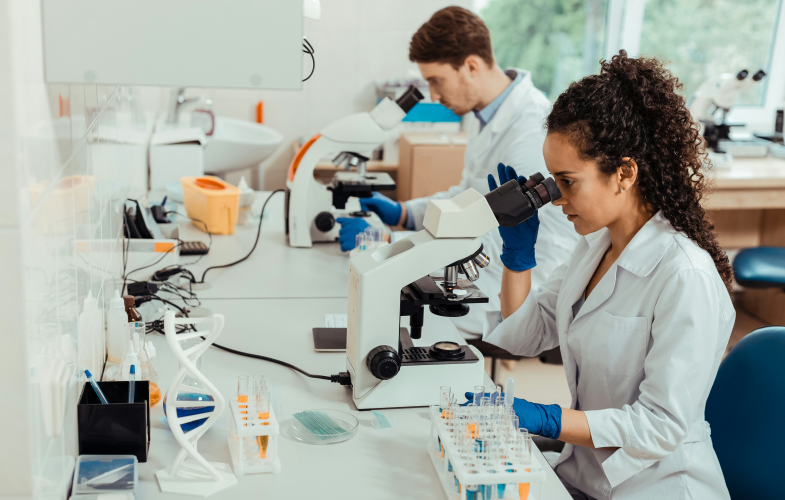 Universität Rostock Technische Informatik: Bewerbungsfristen