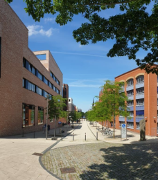 university image