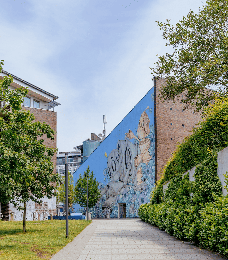 university image