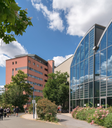 university image