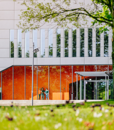 university image