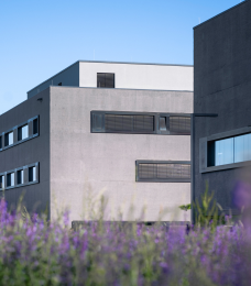 university image