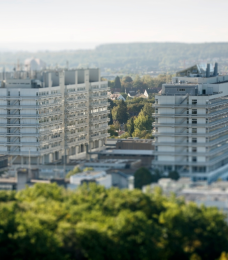 university image