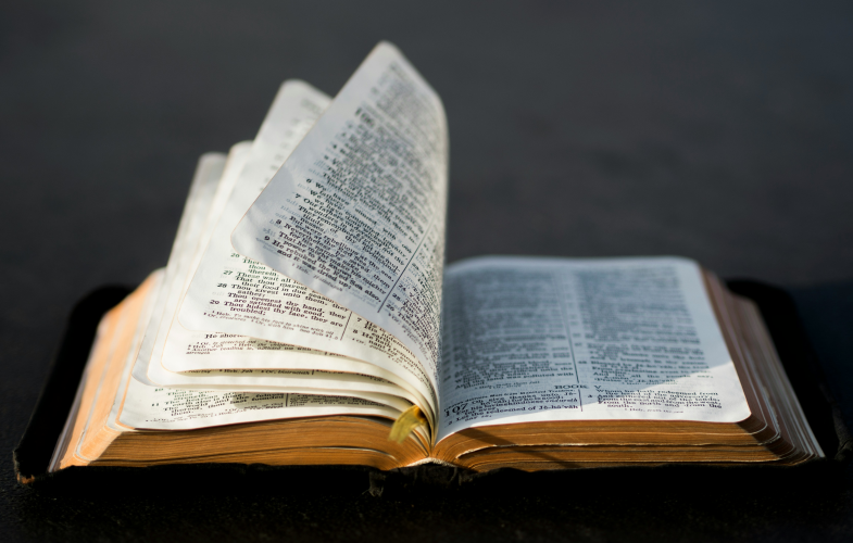 Evangelische Hochschule Freiburg: Theology & Religious Studies