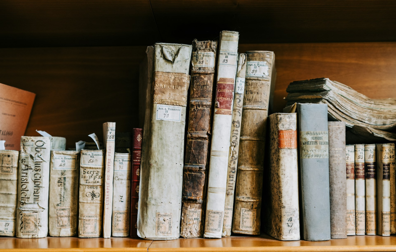 Theologische Hochschule Elstal: Theology & Religious Studies