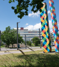 university image