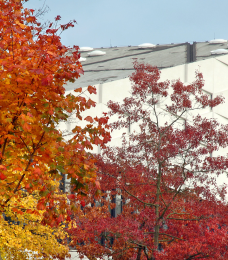 university image