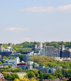 university image