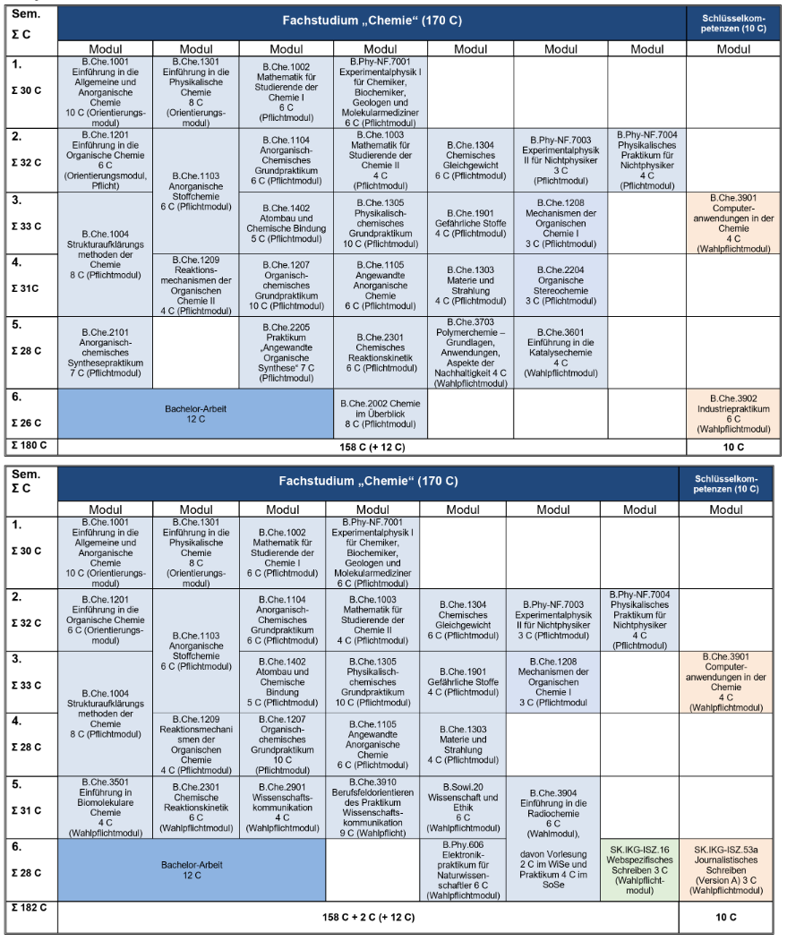 Curriculum