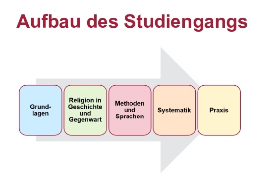 Curriculum