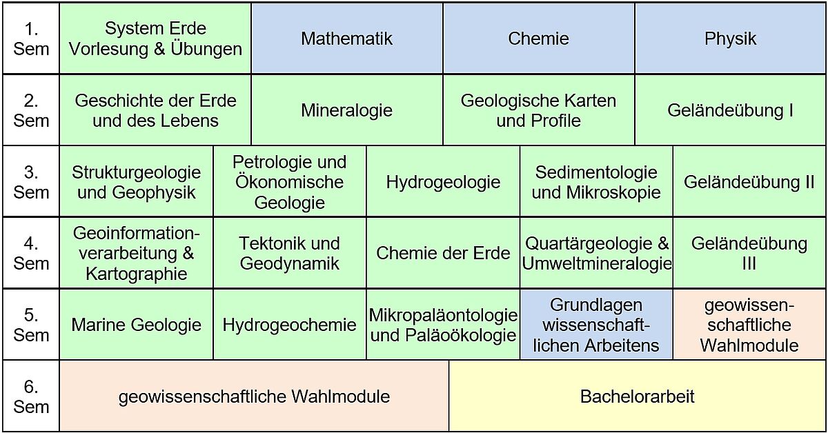Curriculum
