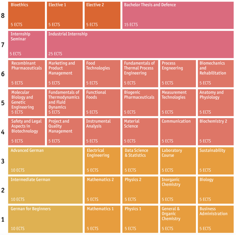 Curriculum