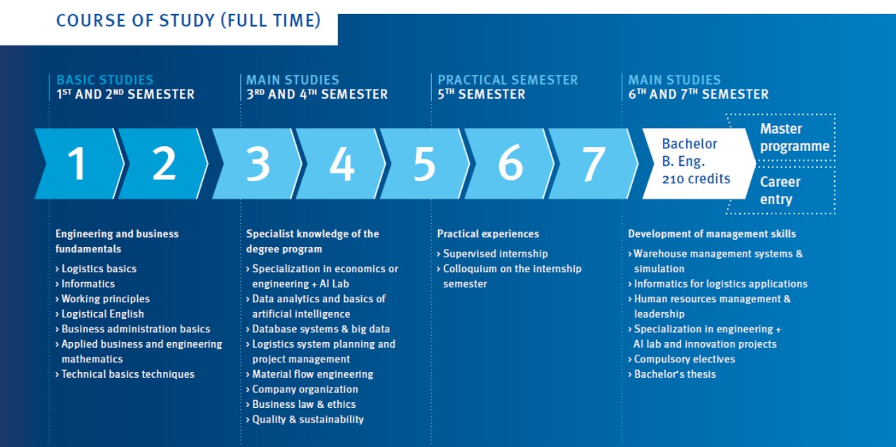 Curriculum