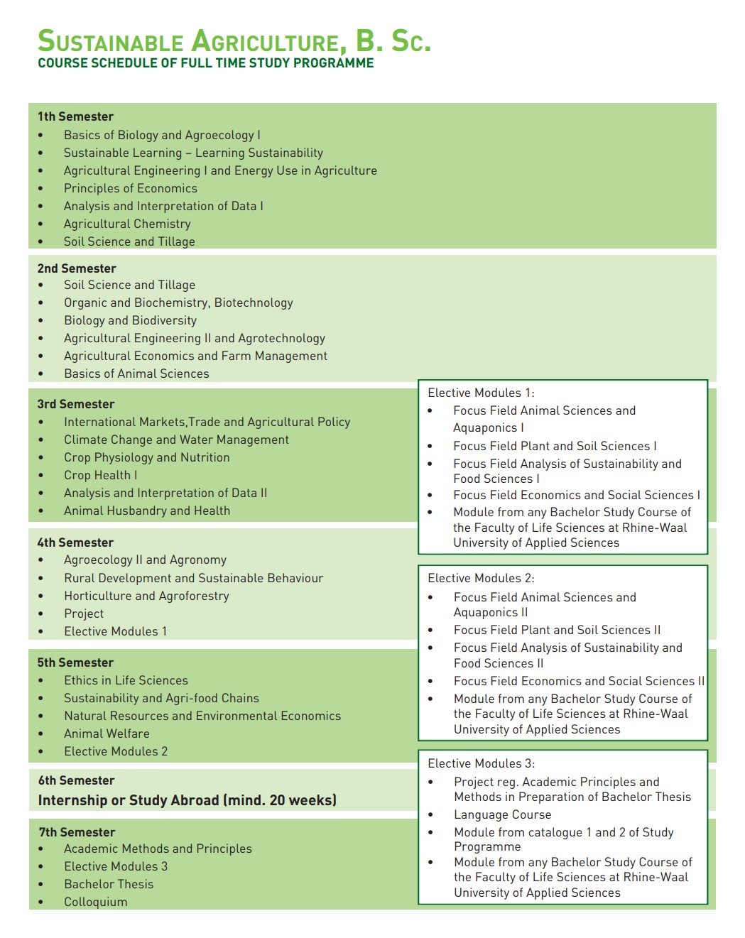 Curriculum