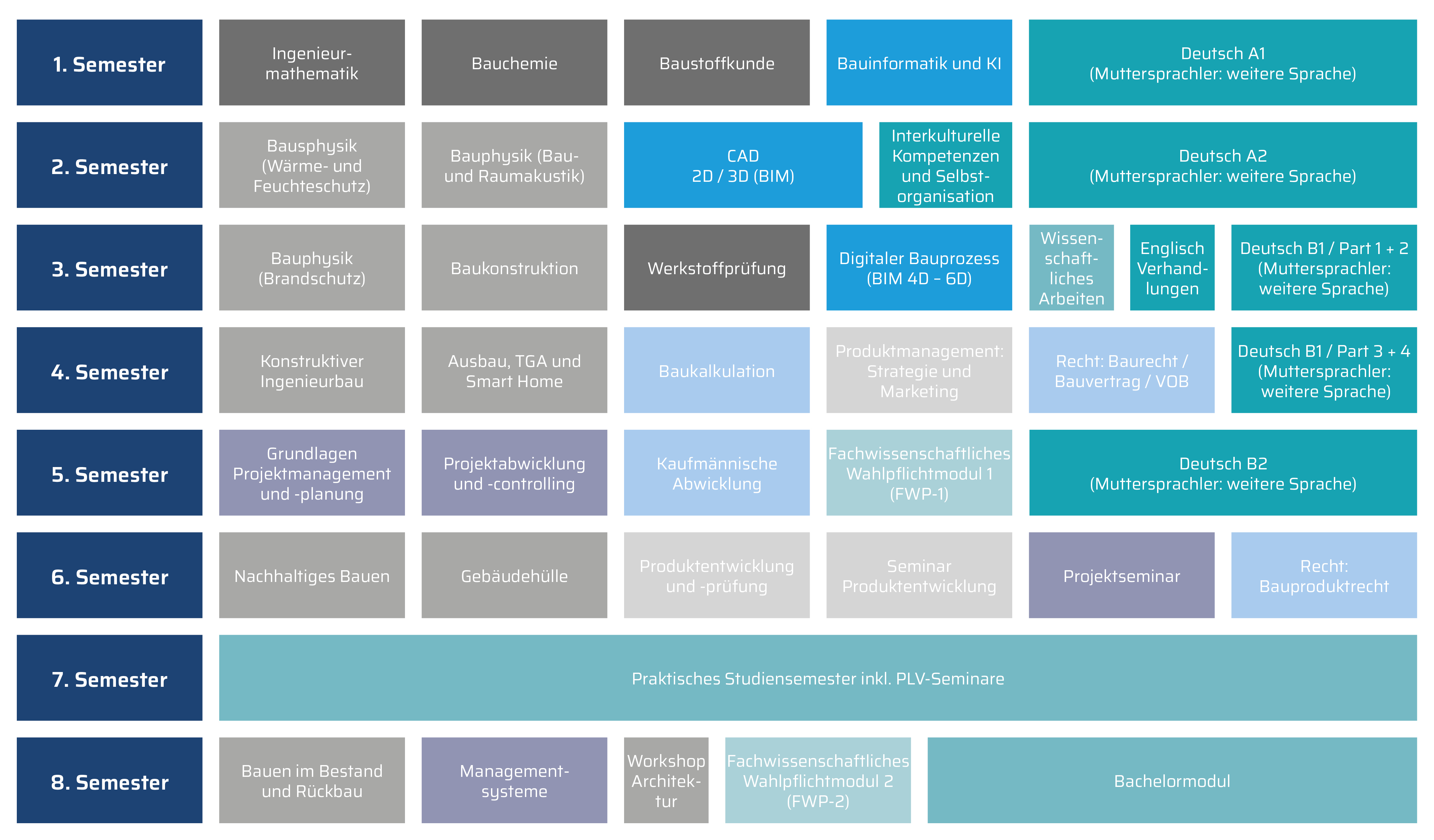Curriculum
