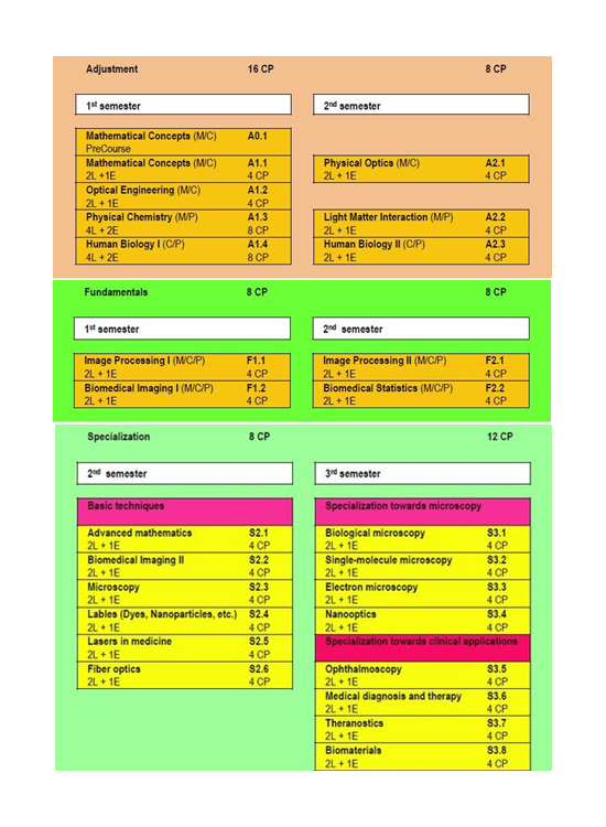 Curriculum