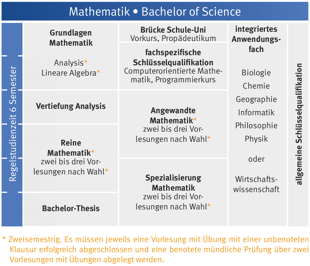 Curriculum