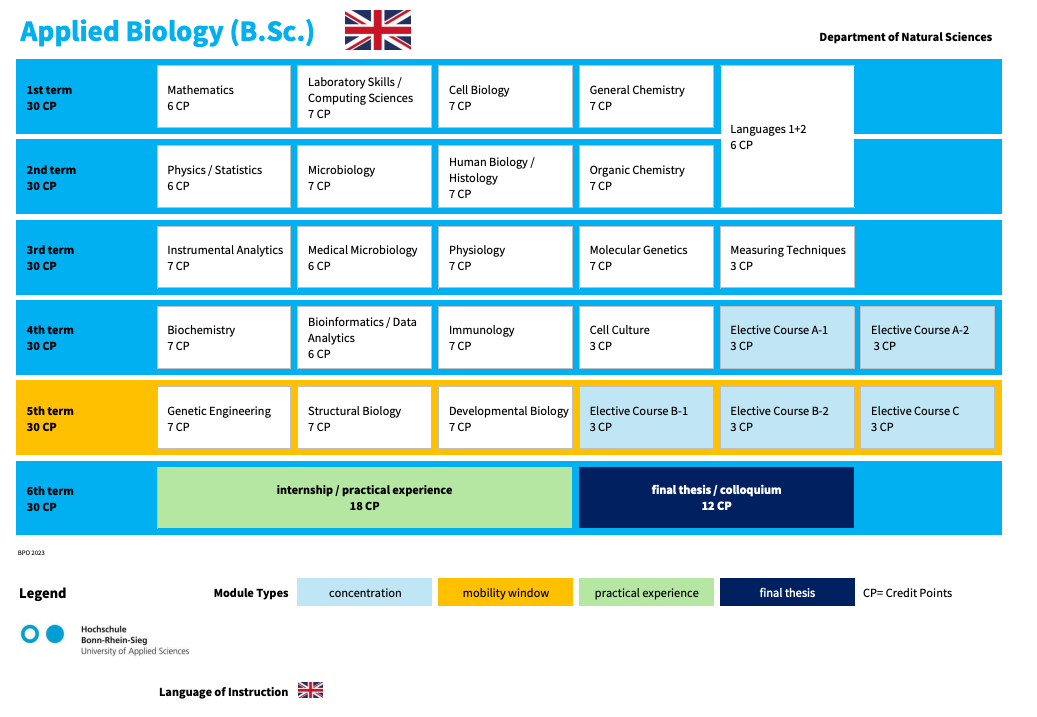Curriculum