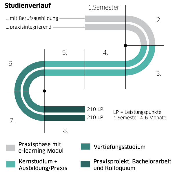 Curriculum