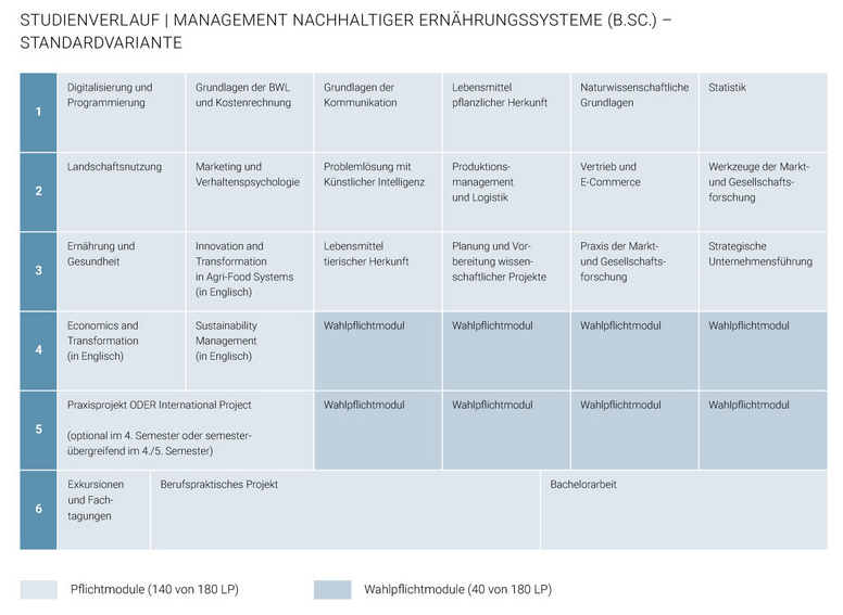 Curriculum