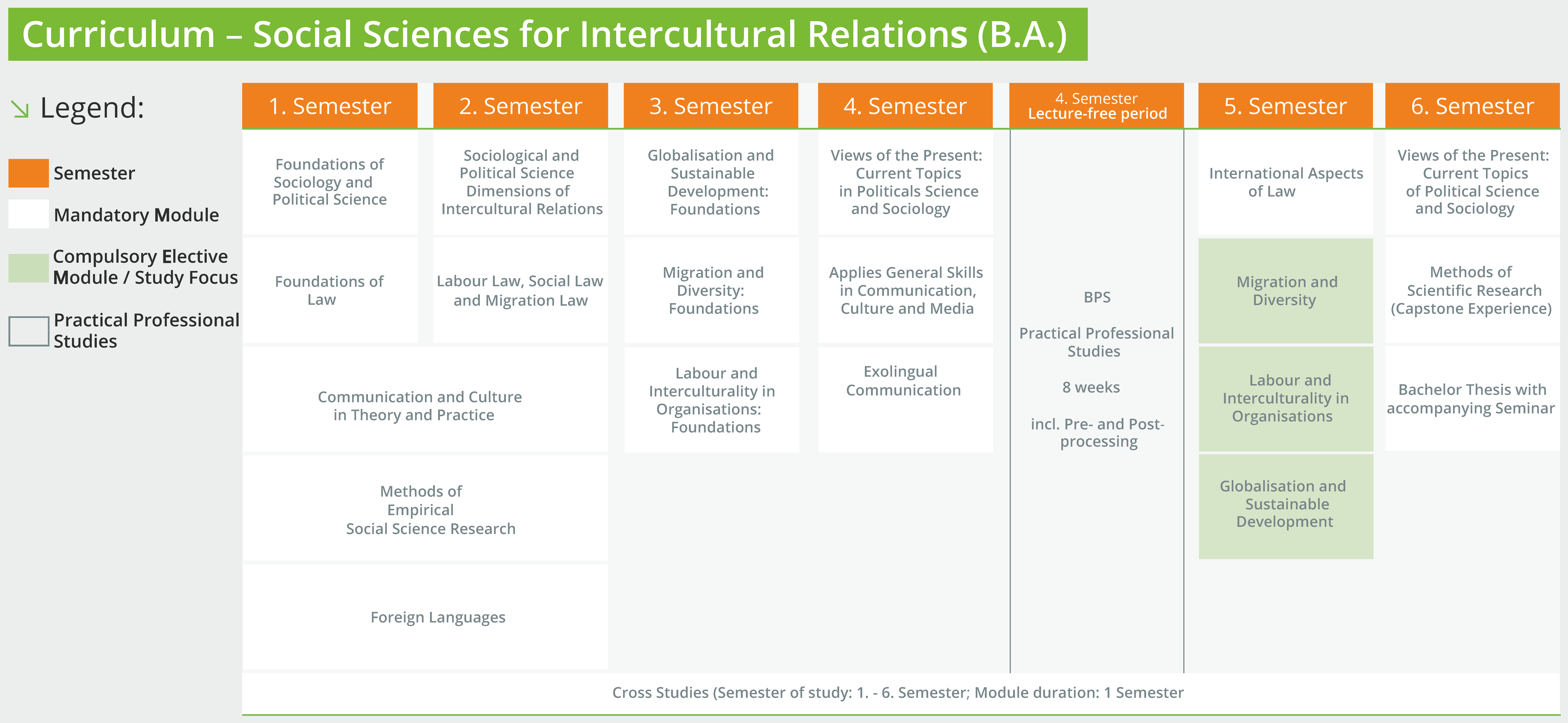 Curriculum