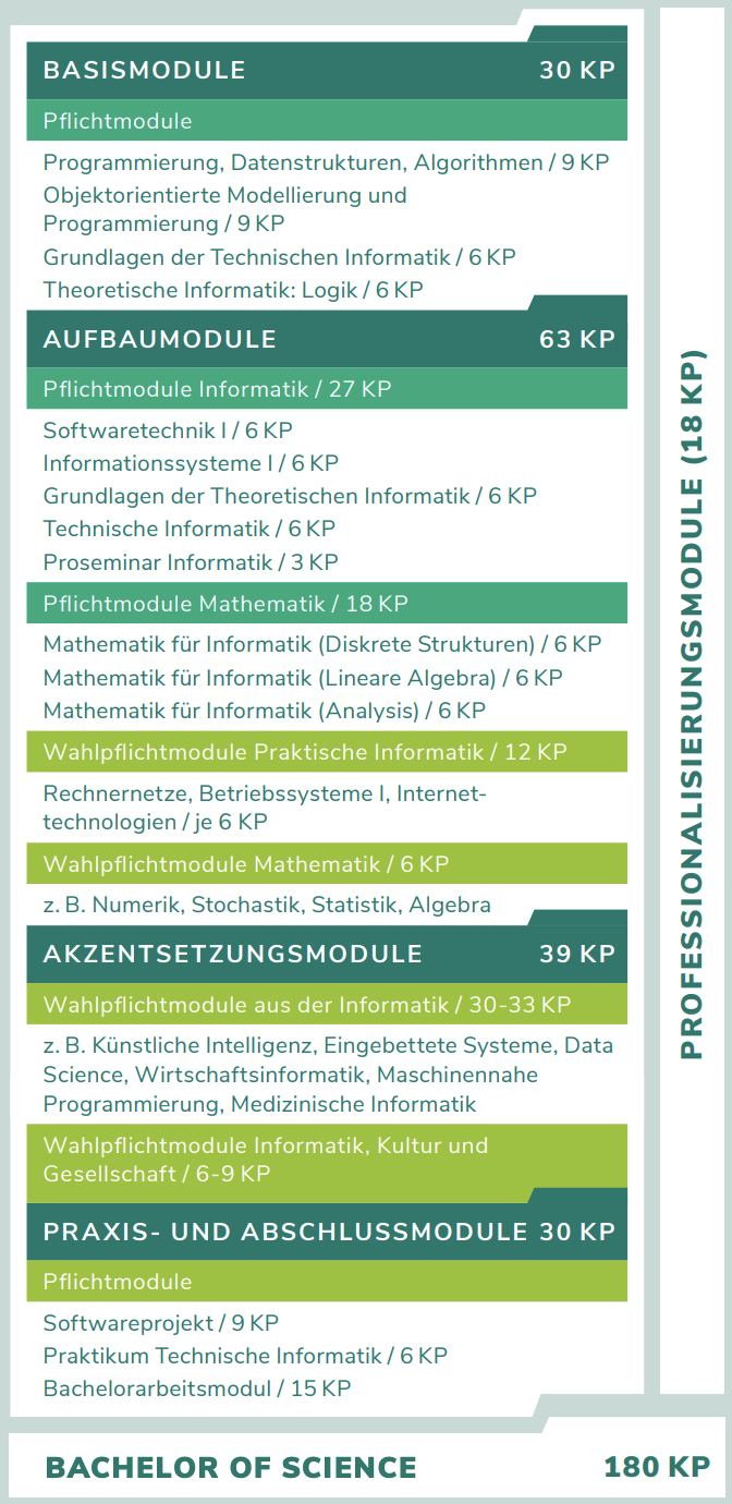 Curriculum