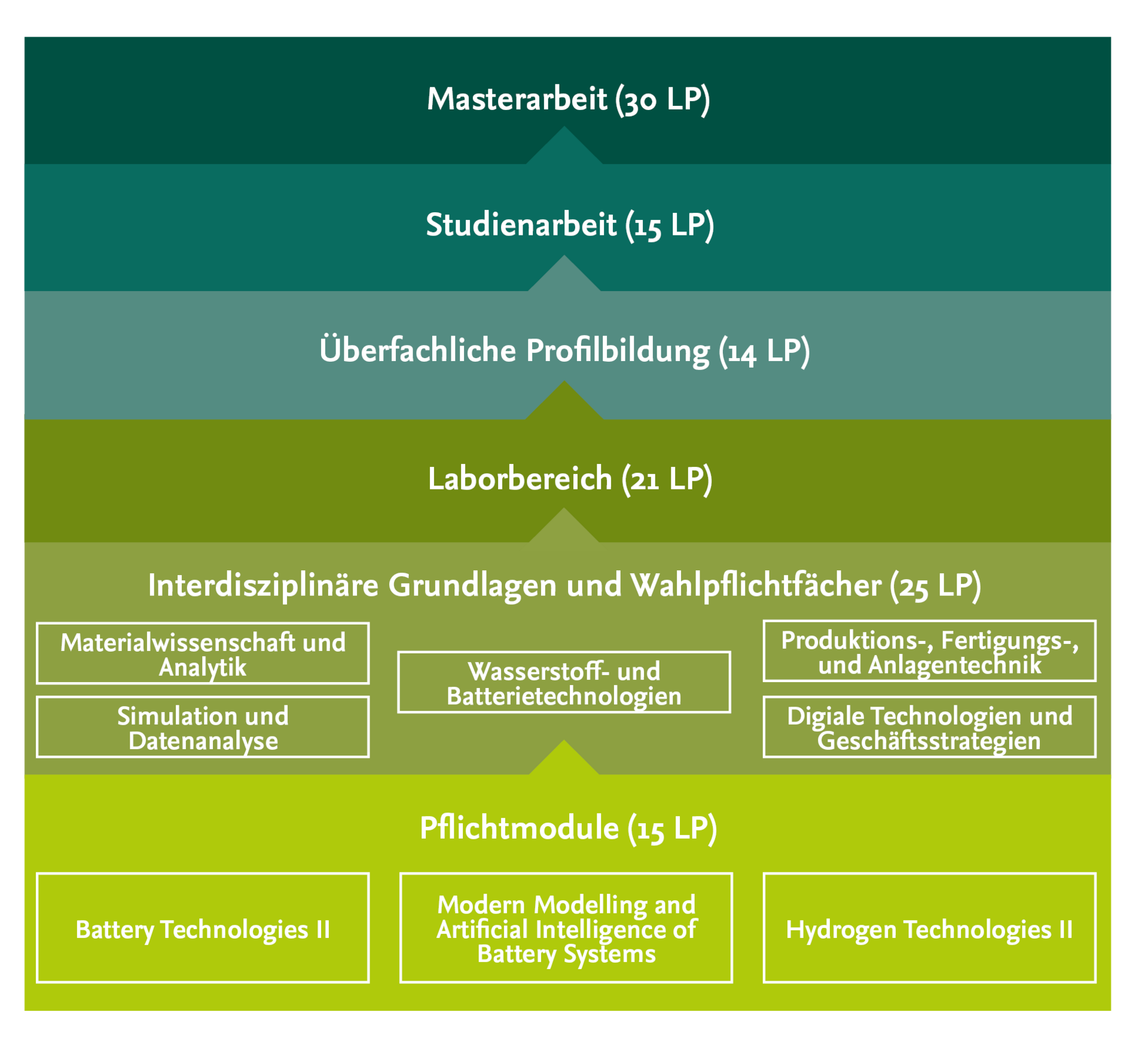 Curriculum