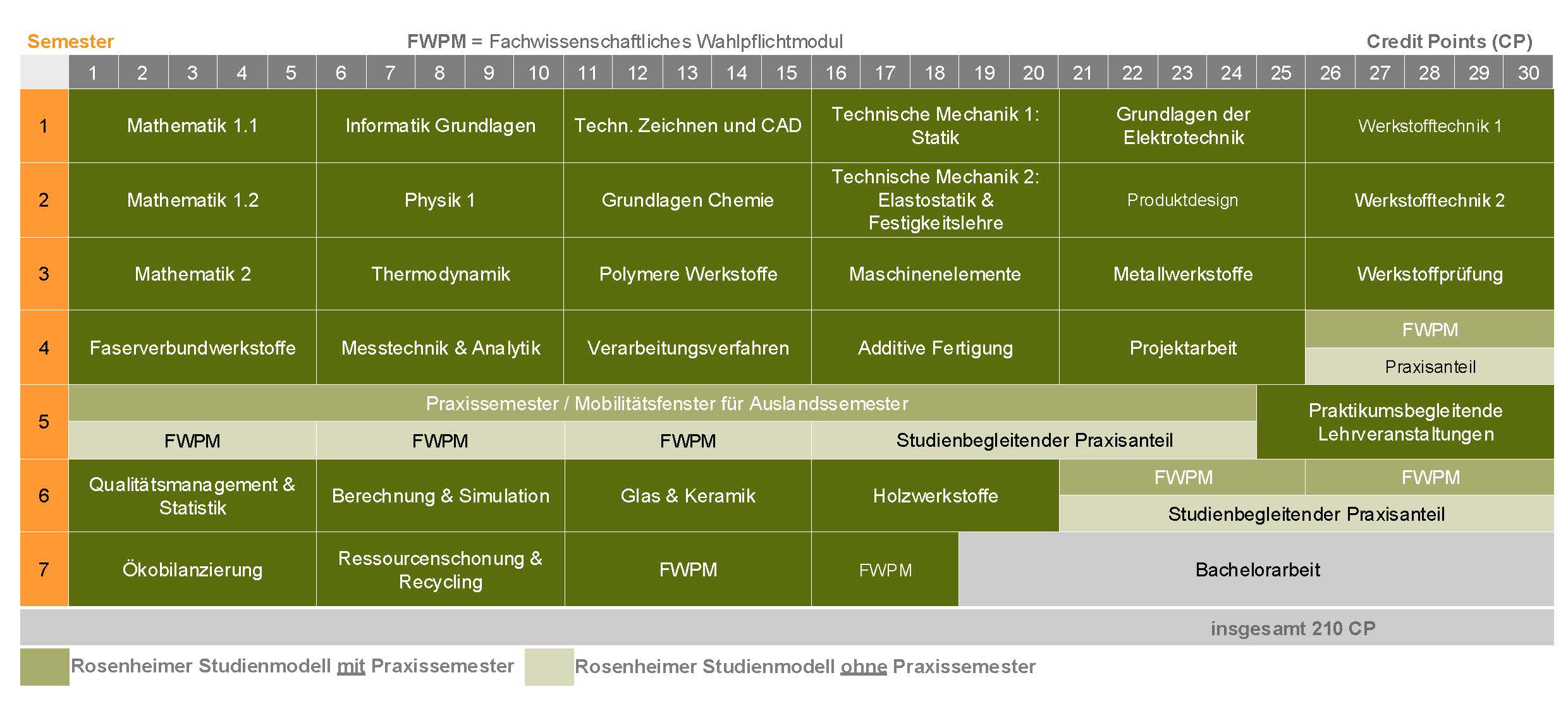Curriculum
