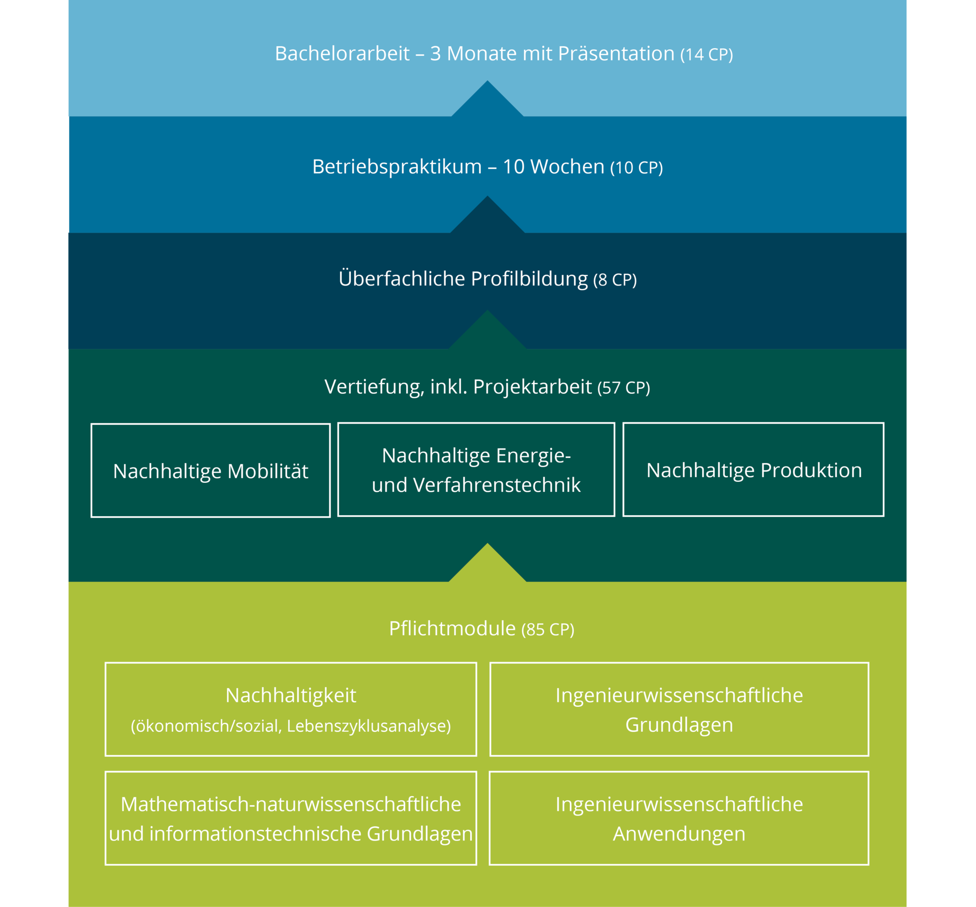 Curriculum