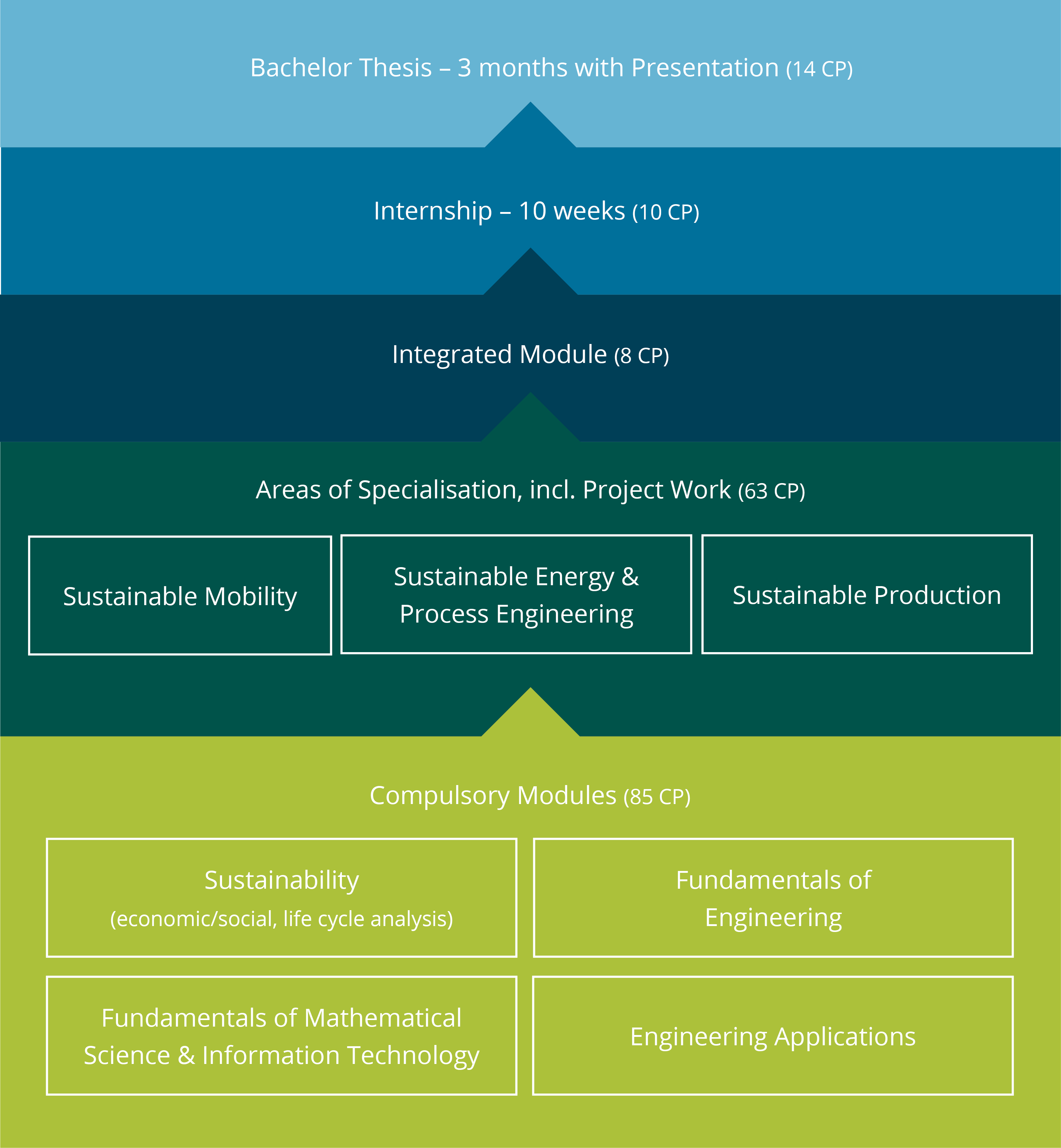 Curriculum
