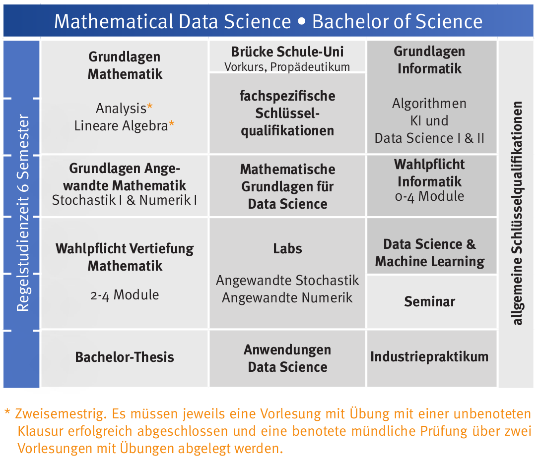 Curriculum