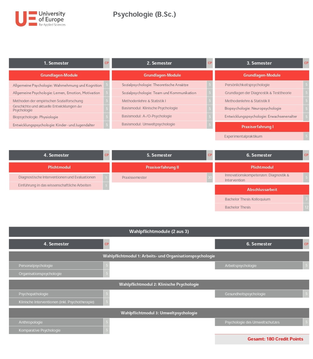 Curriculum