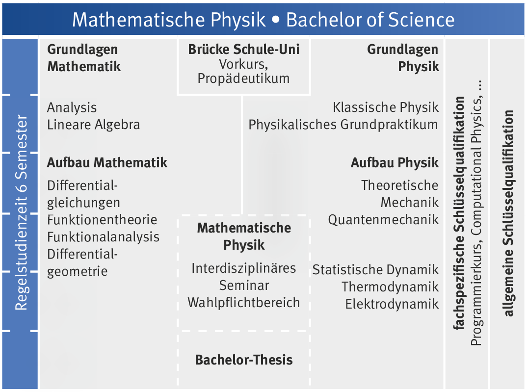 Curriculum