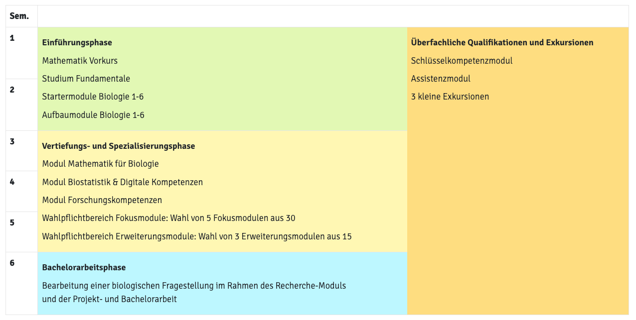 Curriculum