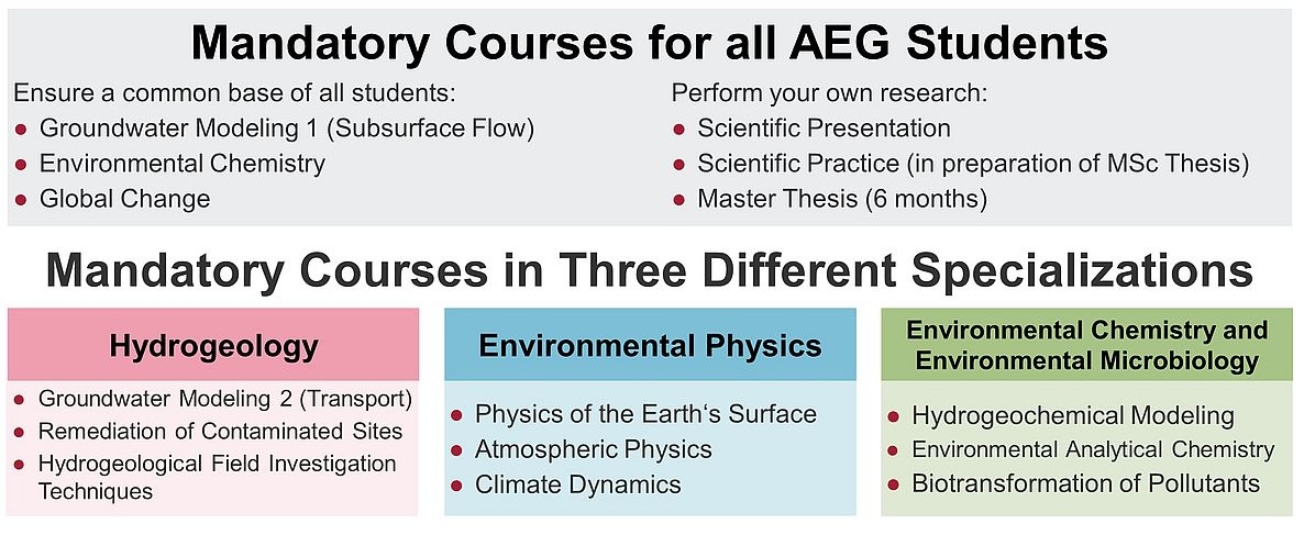 Curriculum